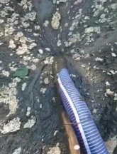 سيناريوهات الاستخدام.png